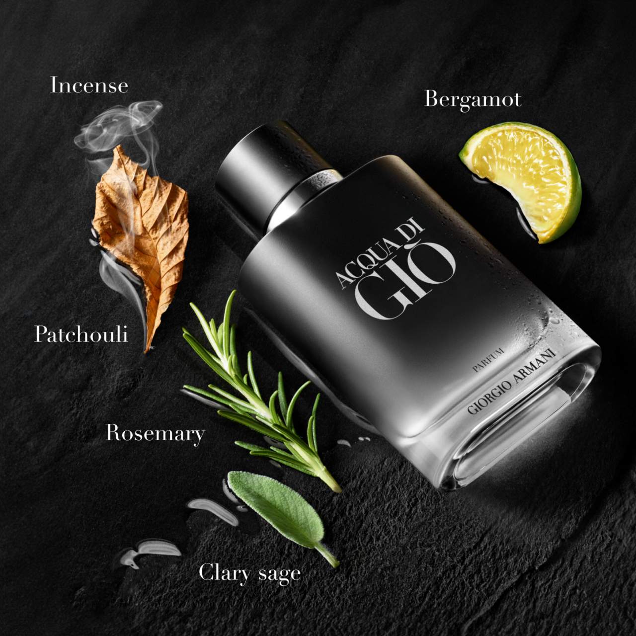 Armani Acqua di Gio Parfum