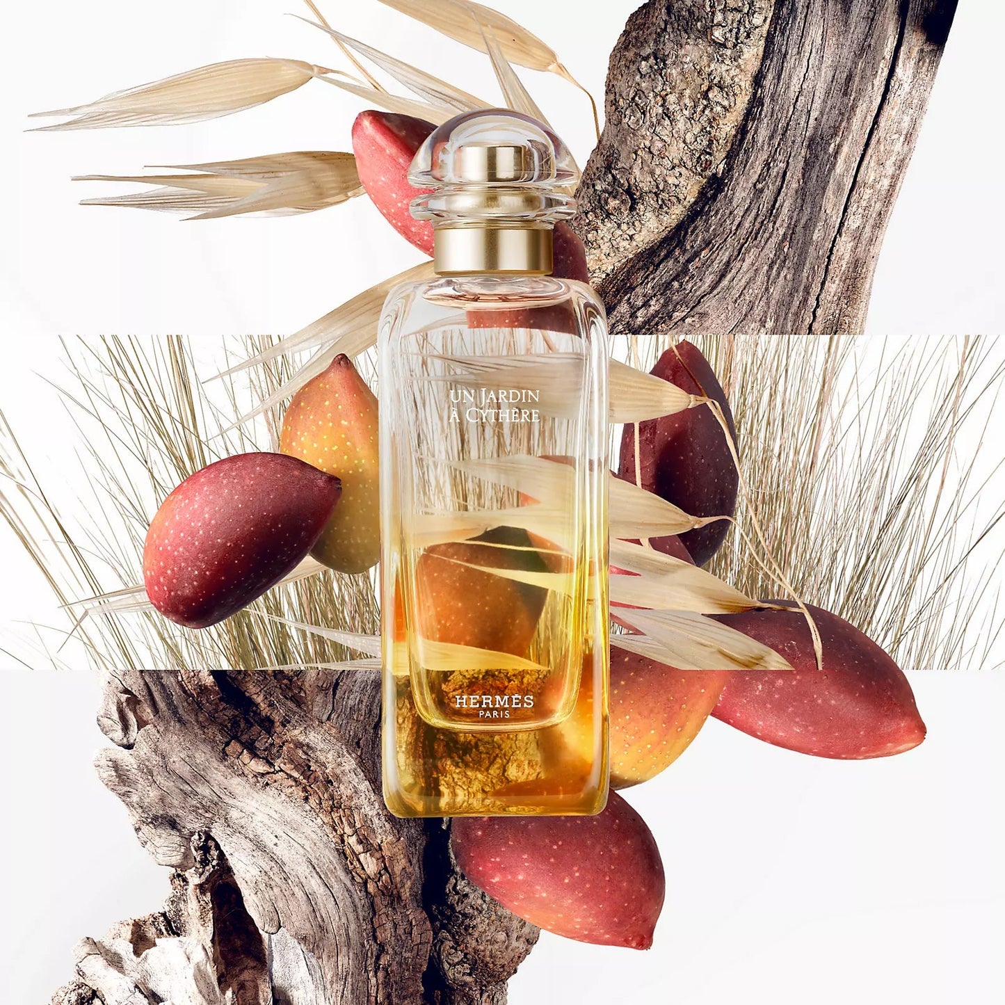 Hermès Un Jardin à Cythère