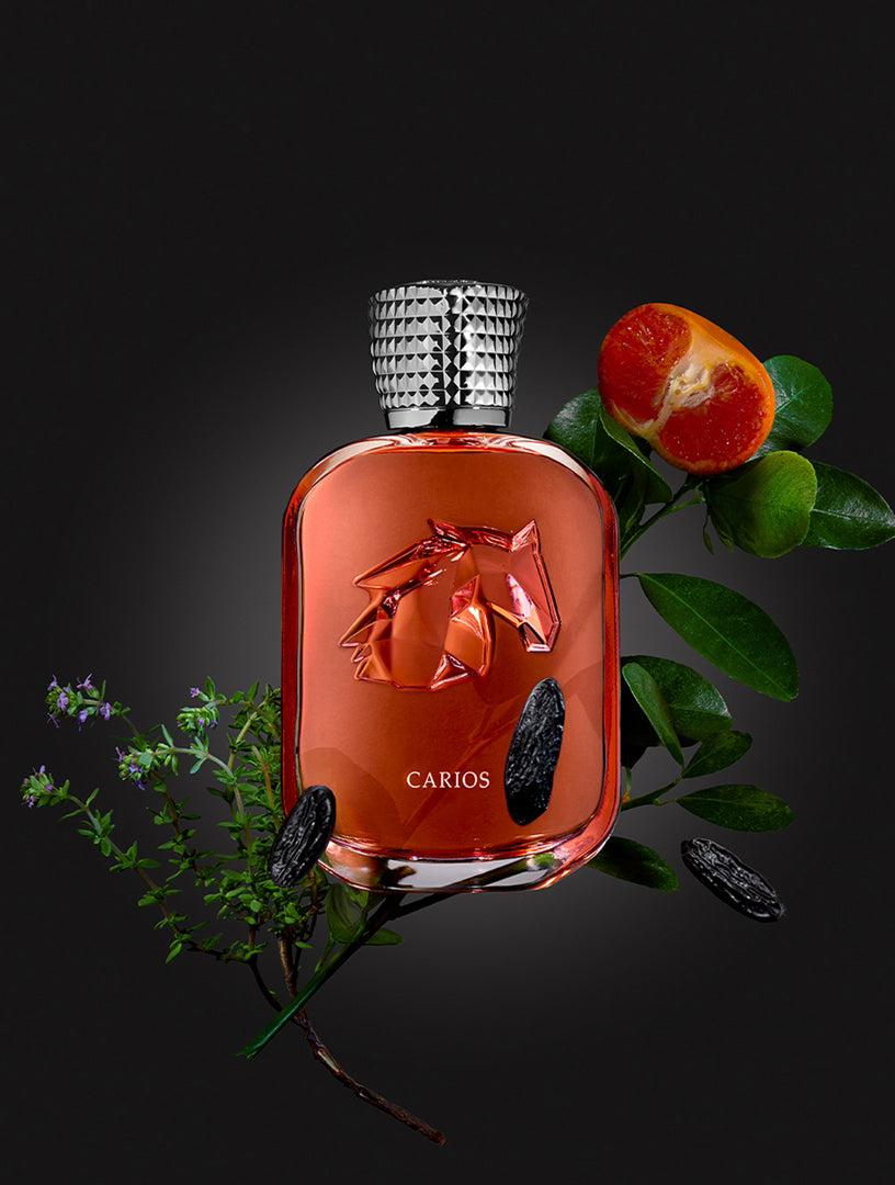 Carios bottle with orange liquid, silver cap, and garnishes on a dark background